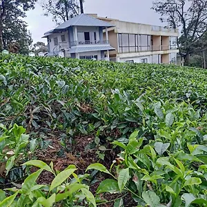 https://the-nirvana-resort-munnar.hotels-munnar.com
