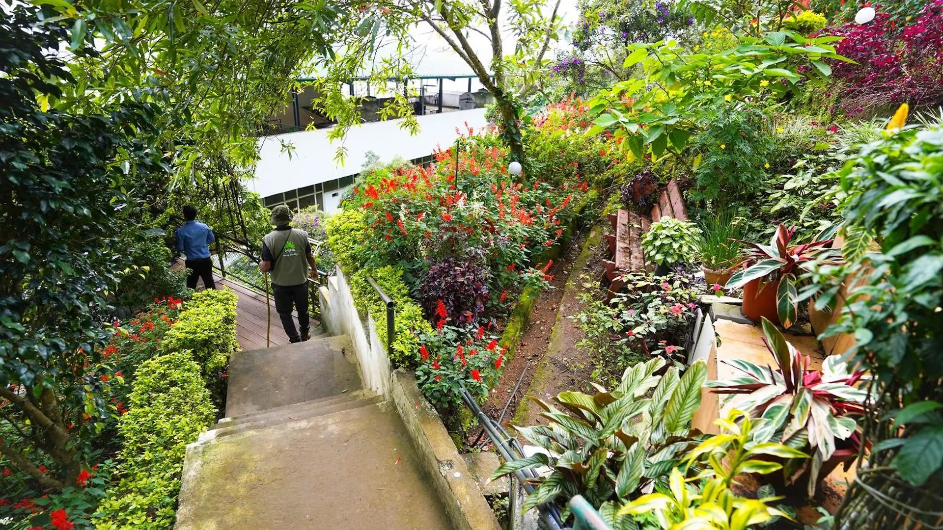 Misty Mountain Resort Munnar 3*,